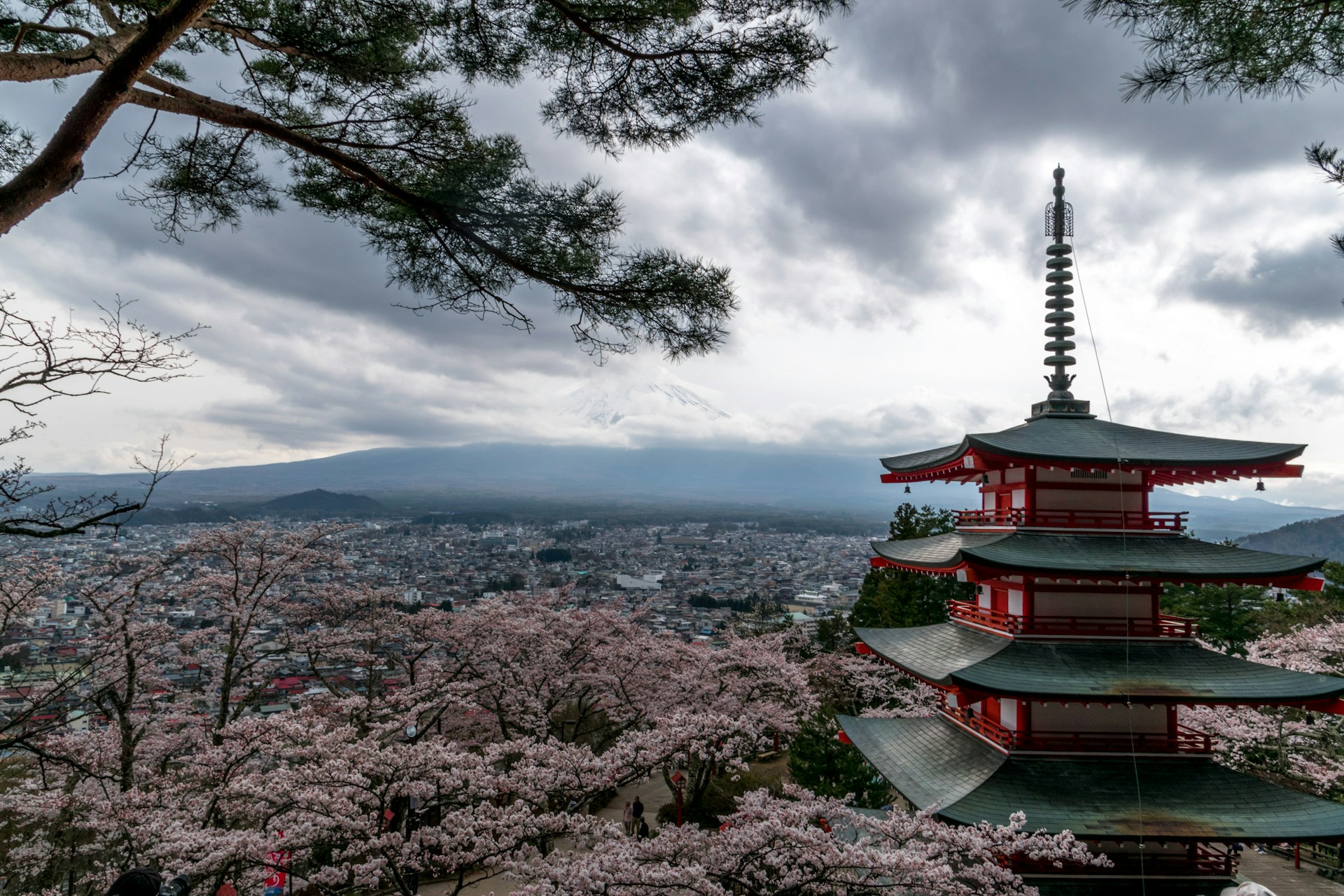 Reader photo of Mount Fuji from Arakurayama